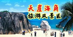 浪潮女秘书性爱视频海南三亚-天崖海角旅游风景区